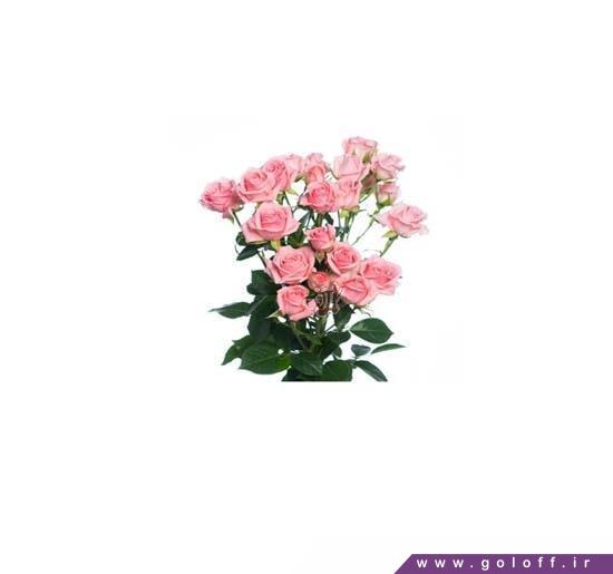 دسته گل عروس - دسته گل رز مینیاتوری ادیلیا - Roses | گل آف